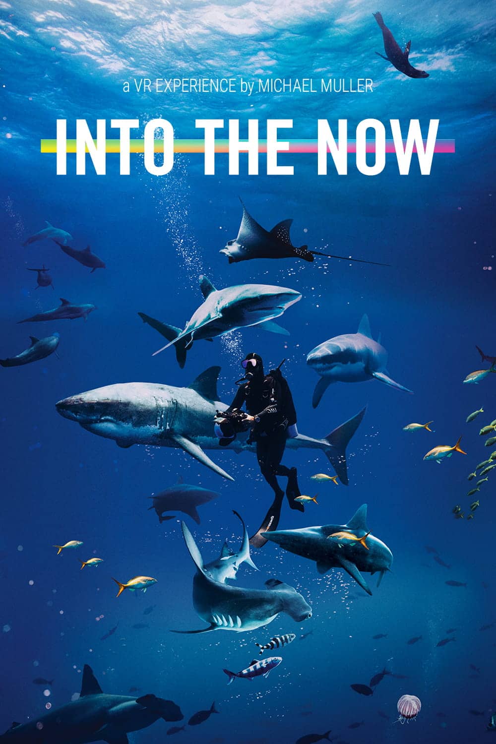 Into The Now